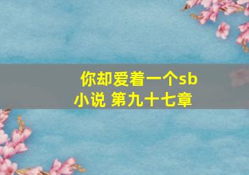 你却爱着一个sb小说 第九十七章